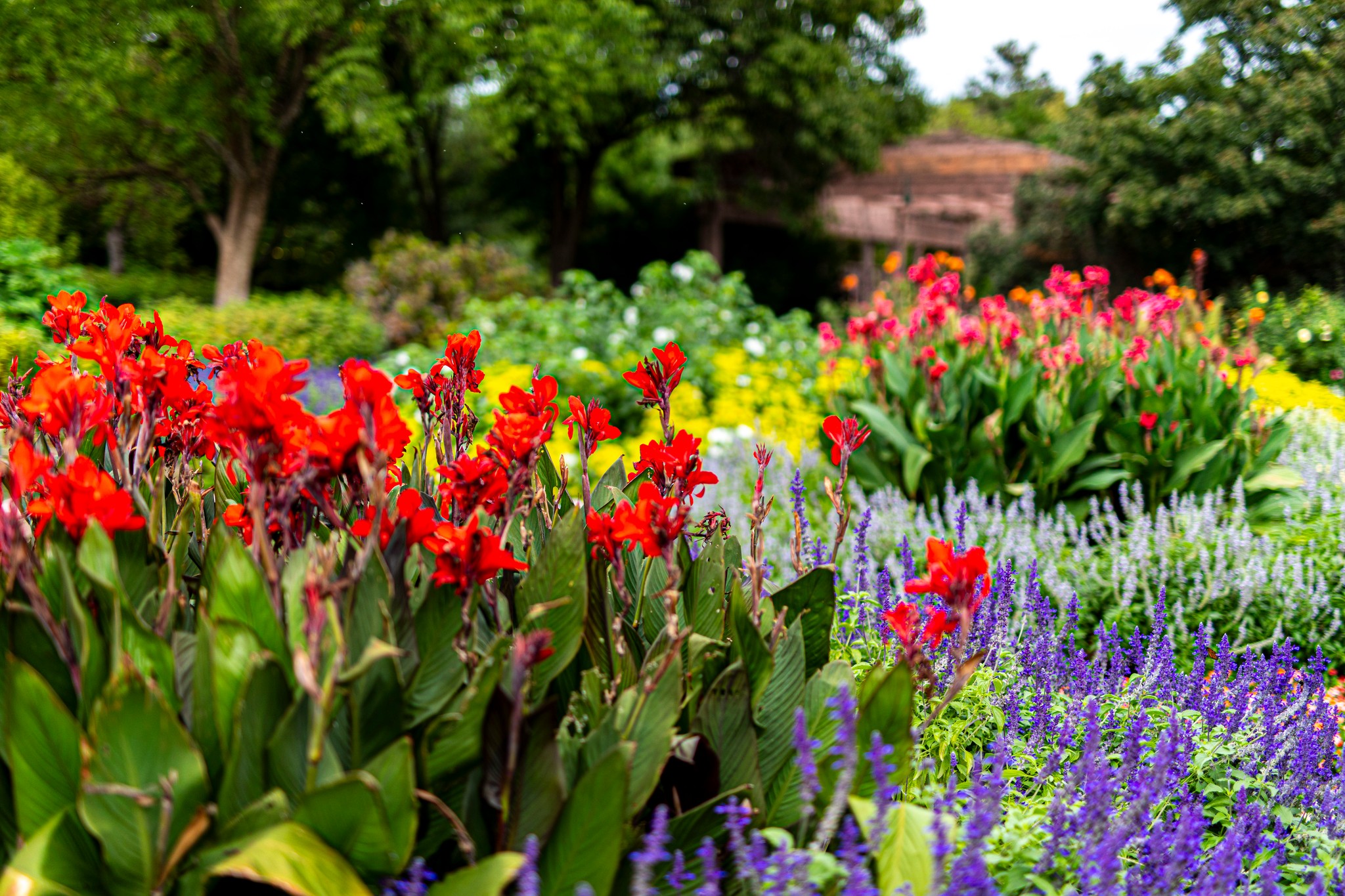 Botanica Wichita: El Jardín Más Hermoso de Kansas Según HGTV