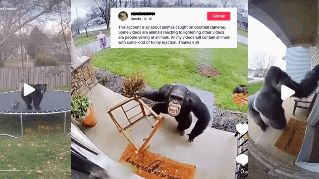 Zoológico Del Condado De Sedgwick Advierte Sobre El Peligro Del Contenido Generado Por Ia - Noticias Notivalle Zoológico Del Condado De Sedgwick Advierte Sobre El Peligro Del Contenido Generado Por Ia - Noticias Notivalle